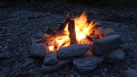 Campfire Nicky And Cookie