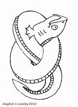 Squid Coloring Colouring Giant Gaint Printable Library Clipart Line sketch template
