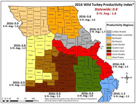 Missouri Department Of Conservation Says Fall Turkey Hunting Could Be