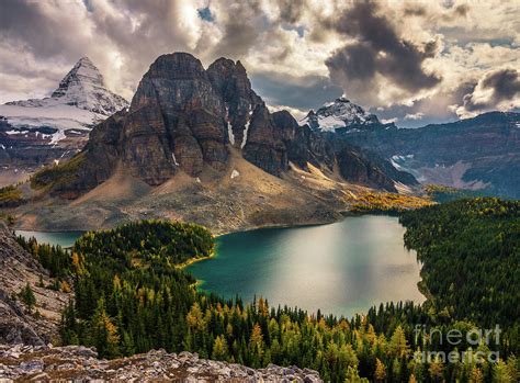 Mount Assiniboine And Sunburst Peak Fall Colors Photograph By Mike Reid