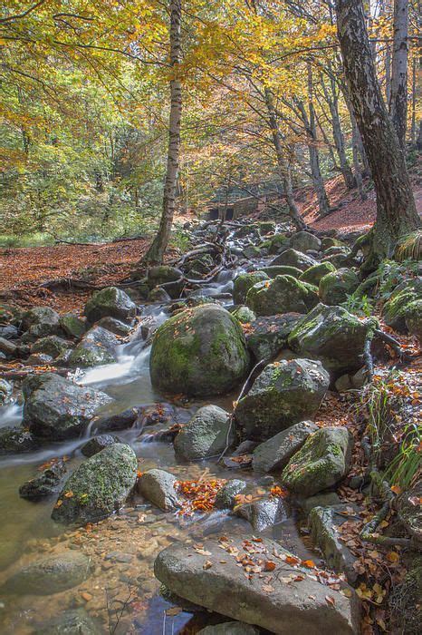 Mountain Water Stream Mossy Rocks Photograph By Jivko Nakev Fall