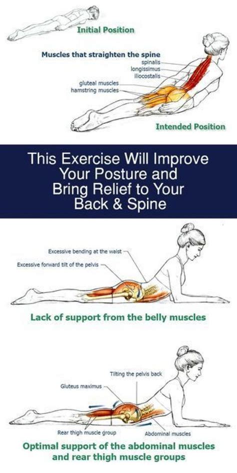 Pin On Psoas Exercises