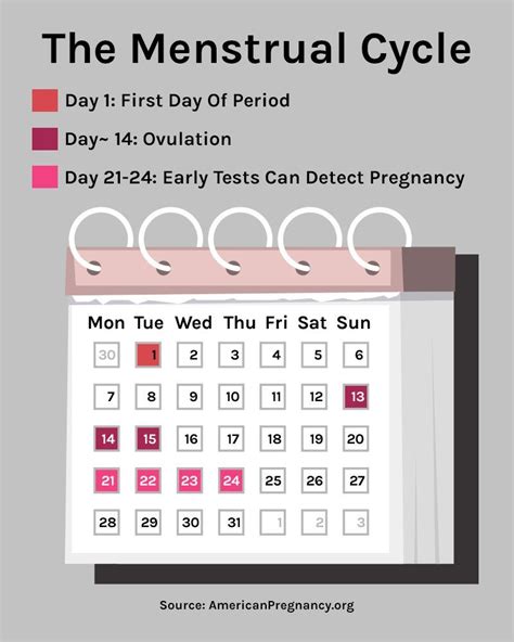 This Ovulation Calendar Will Help You Finally Understand Your Cycle Artofit