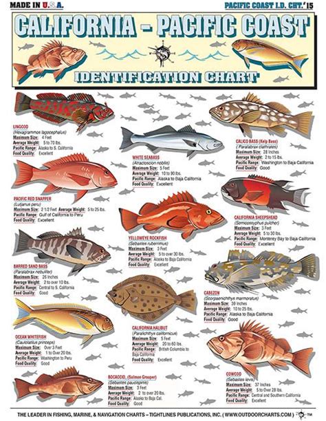 The California Pacific Coast Identification Chart Shows Different Types