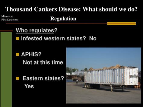 Ppt Thousand Cankers Disease Powerpoint Presentation Free Download