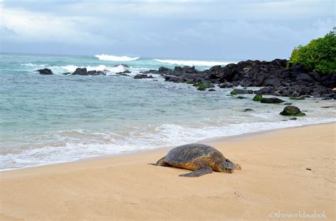 5 Free Things To Do In Oahu Hawaii The World Is A Book