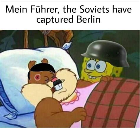 mein fuhrer r historymemes