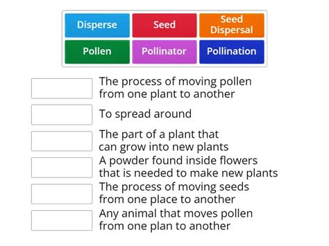 Pollination And Seed Dispersal Vocabulary Match Up
