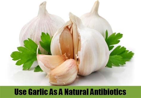 6 Powerful Natural Antibiotics We Use Every Day Natural Home Remedies