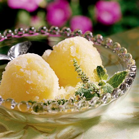 Healthy Sorbet Recipes Recipe Frozen Yogurt Recipes Sorbet Recipes