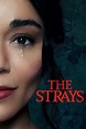 The Strays (2023) | Where to watch streaming and online in Australia ...