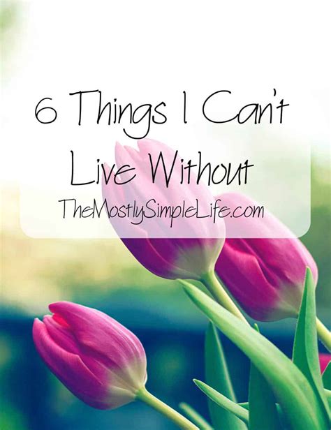 6 Things I Cant Live Without The Mostly Simple Life