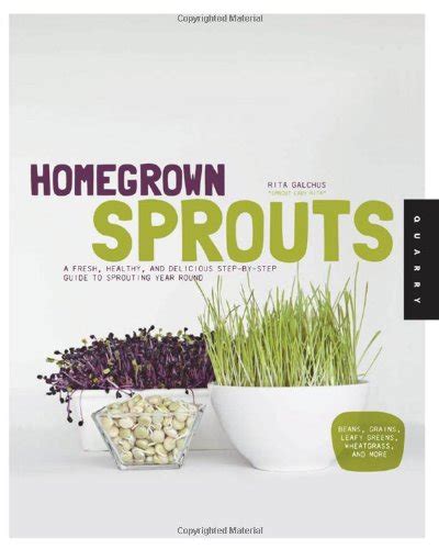 Learn Basic Sprouting Techniques Via Zoom October 20th 330 Pm Pst