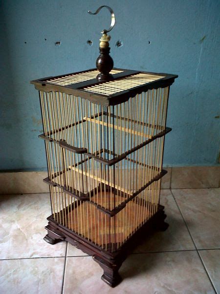 Maybe you would like to learn more about one of these? Kenari Lokal: Aneka sangkar burung lomba