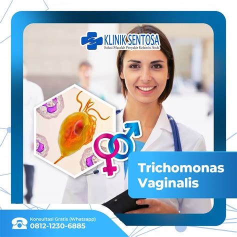 Mengenali Parasit Trichomonas Vaginalis Penyebab Trikomoniasis Klinik Utama Sentosa