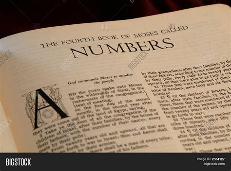 Books Of The Bible Numbers Stock Photo And Stock Images Bigstock