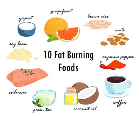 Best Fat Burning Foods To Burn Belly Fat For Men And Women