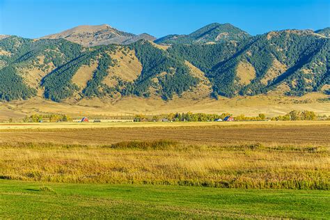 Bridger Mountain Fields Photograph By Leigh Anne Meeks Fine Art America