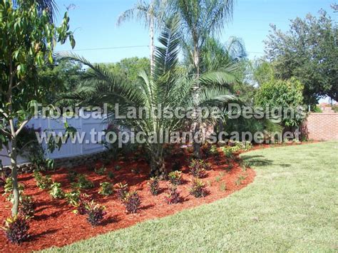 Tropical Landscaping Designs Of Tampa Bay Tampa Bay Area Tropical