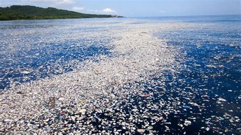 The Giant Mass Of Plastic Waste Taking Over The Caribbean Bbc News