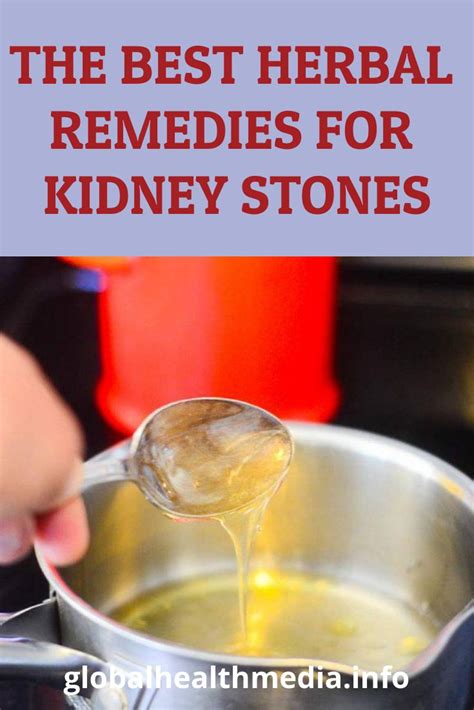 The Best Herbal Remedies For Kidney Stones Kidney Stones Remedy
