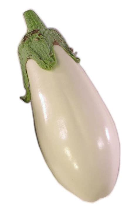 White Eggplant Natures Produce