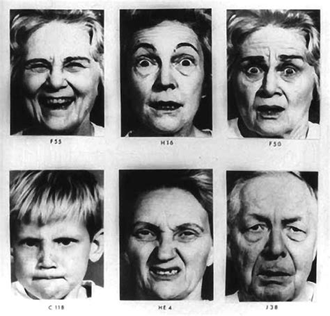 Interpret Facial Expressions Expressions Of Emotion Paul Ekman Group