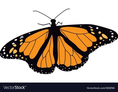 Vector Butterfly Svg Freesvg Files