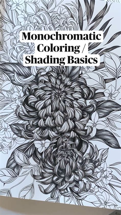 Monochromatic Coloring Shading Basics An Immersive Guide By