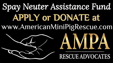 low cost spay neuter assistance program donate or apply