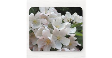 Fruit and nut bearing trees: White Flowering Crabapple Tree Mouse Pad | Zazzle.com