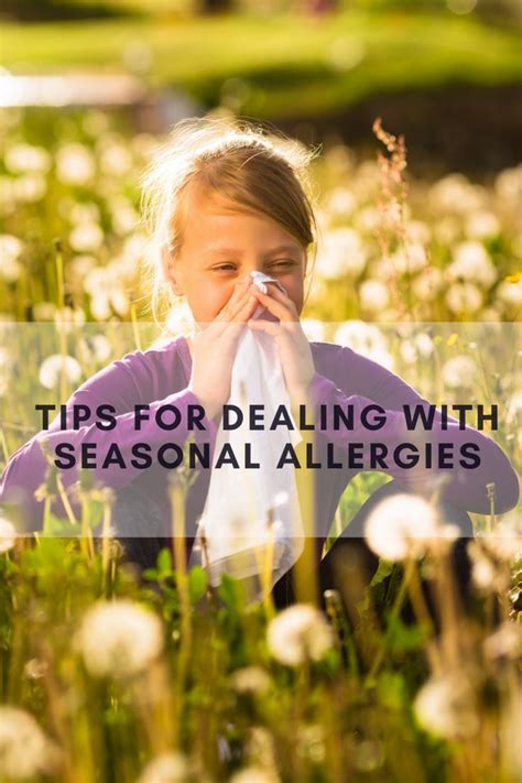 Tips For Dealing With Seasonal Allergies The Best Remedies For