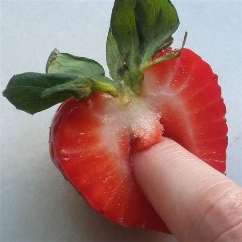 List 91 Wallpaper What Does The Inside Of A Strawberry Look Like Stunning 102023