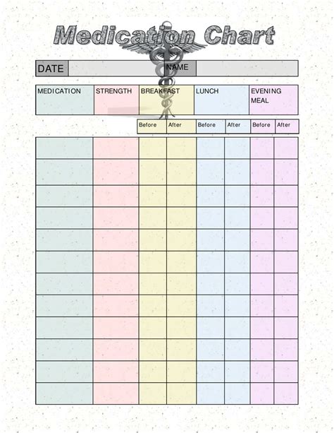 Daily Medication Chart Template Printable Printable Templates
