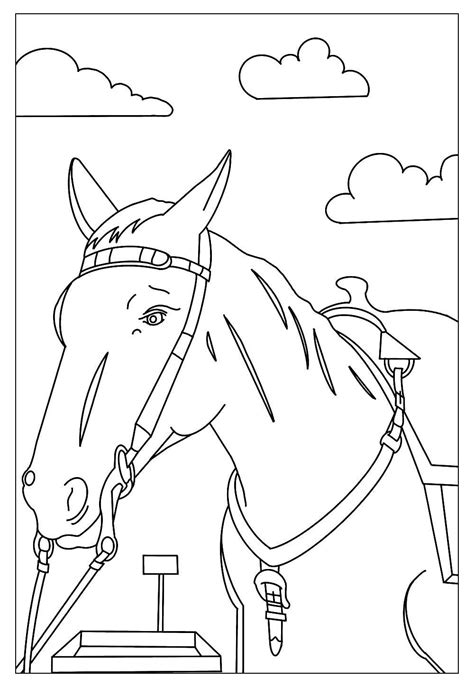 Total Imagen Desenhos De Animais Cavalos Br Thptnvk Edu Vn