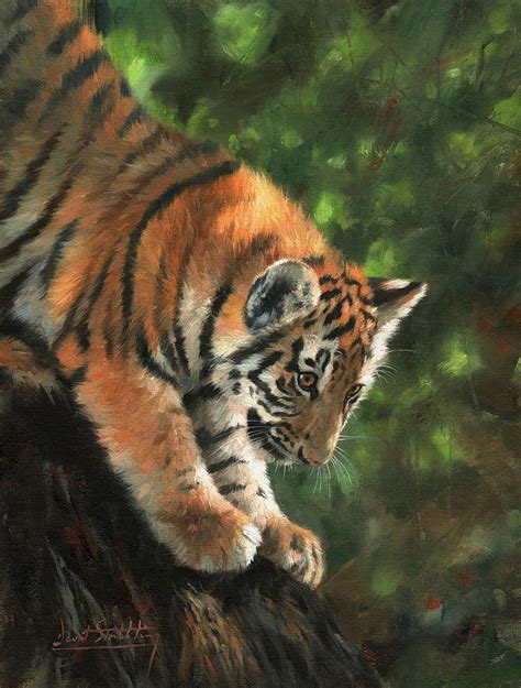 Tiger Cub Climbing Down Tree Painting By David Stribbling Fine Art