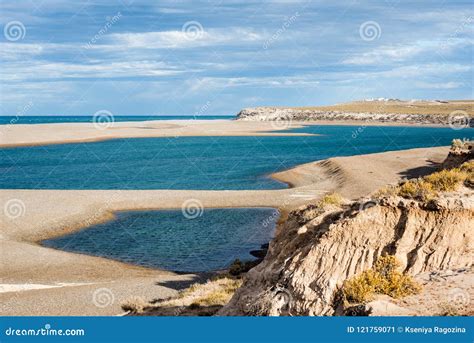 Patagonia Coastline Peninsula Valdes Argentina Stock Image Image Of