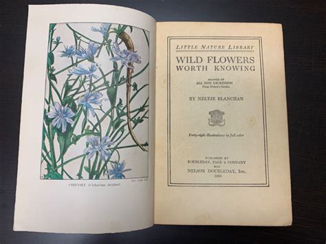 1st Edition 1925 Wild Flowers Little Nature Library Hc Mint Neltje