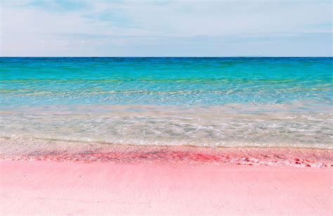 Imgur The Magic Of The Internet In 2021 Pink Sand Beach Bermuda