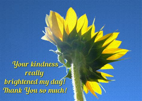 Baby thank you card wording. Thank You For Your Kindness, Sunflower. Free Flowers ...