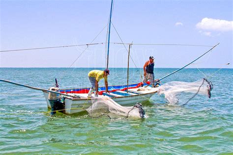 Hoy Tamaulipas Crecimiento De La Pesca En Mexico Se Basa En