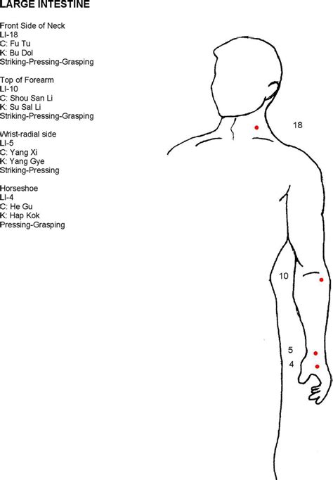 Free Pressure Point Chart Pdf 1344kb 16 Pages Page 4
