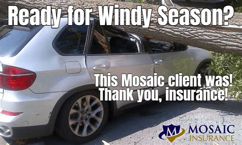 What Should I Do During Windy Season Mosaic Insurance Alliance Llc