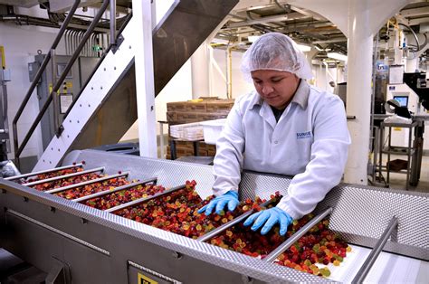 Private Label Manufacturing Mount Franklin Foods