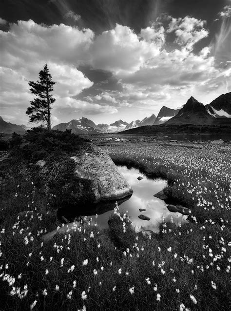 Black And White Nature Photography Portfolio 1 Grand Landscapes — Nature Photo Guides