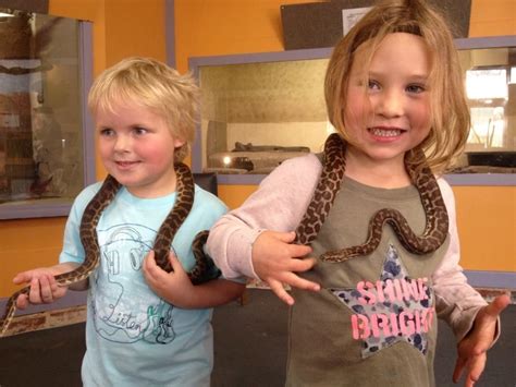 Things to know before you go. Pin by Buggybuddys Guide for Kids in Perth on 100 School ...