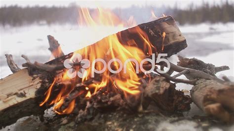 A camp fire in winter, Sweden. Stock Footage,#winter#fire#camp#Footage | Stock footage, Wedding 