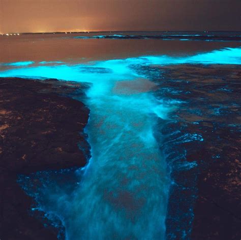 This Fantastic Bioluminescent Water In Jervis Bay Australia Beautiful