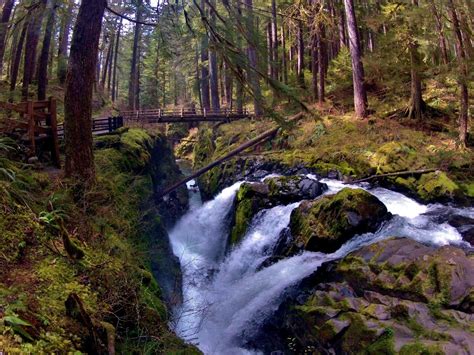 Your Guide To The Campgrounds Of Olympic National Park