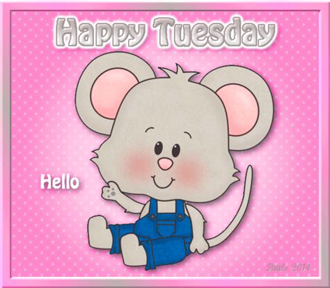 Happy Tuesday Hello Pictures Photos And Images For Facebook Tumblr Pinterest And Twitter